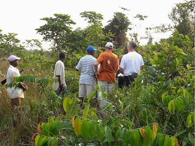 On PROJECT BUCHANAN property