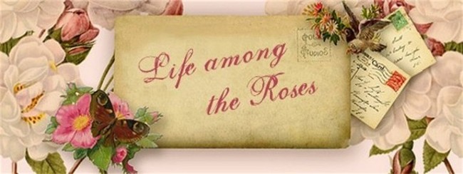 Life among the Roses