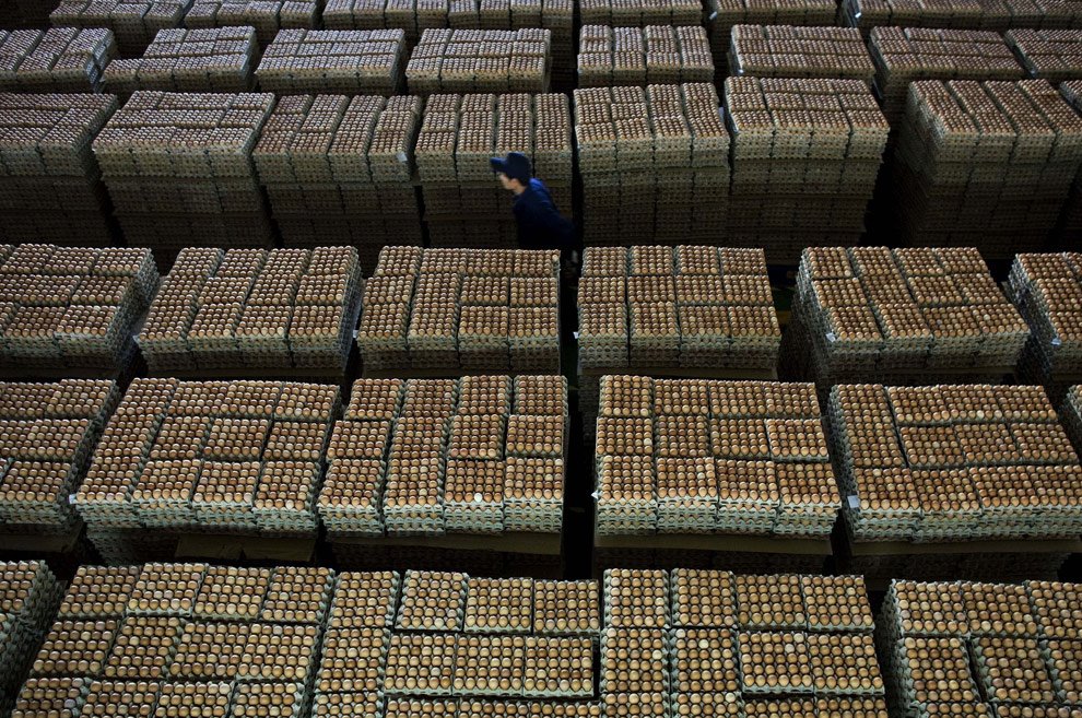 [DAY+AT+WORK+HUEVOS+1-3.jpg]