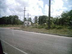 As fotos abaixo foram feitas durante a expedição ao campo de pesquisa..