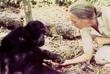 [DavidGreybeard7.jpg]