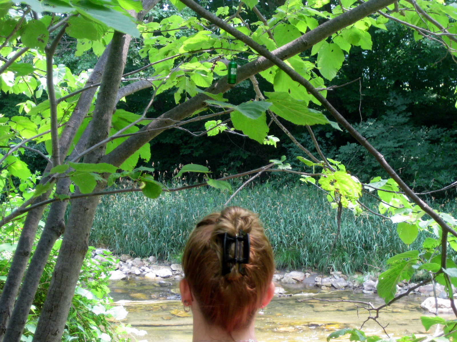 Bison Tube Geocaching