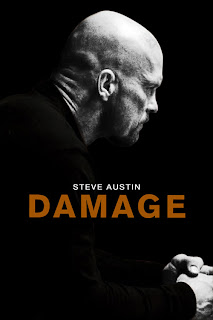 Filme noi 2010 Damage
