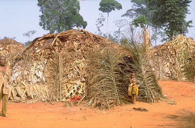Photos And Pictures Of African Houses