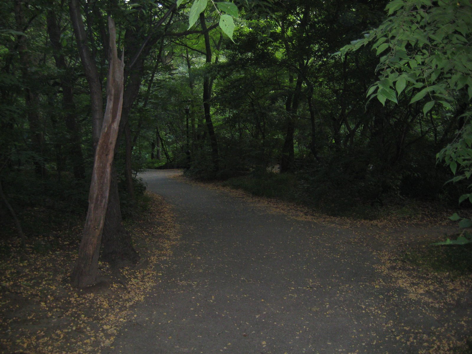 [IMG_0663.JPG]