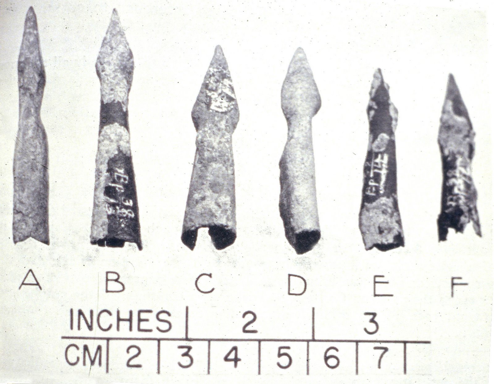 [Crossbow Points from Ellis 1957.jpg]