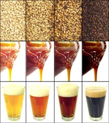 beer malt extract grains hops yeast canned liquid grain breastfeeding malting roasting malts wort sorghum breweries lite production year brew