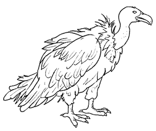 Risultati immagini per avvoltoi