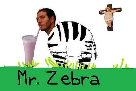 Mr Zebra