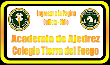 Academia de Ajedrez Colegio Tierra del Fuego, Quillota