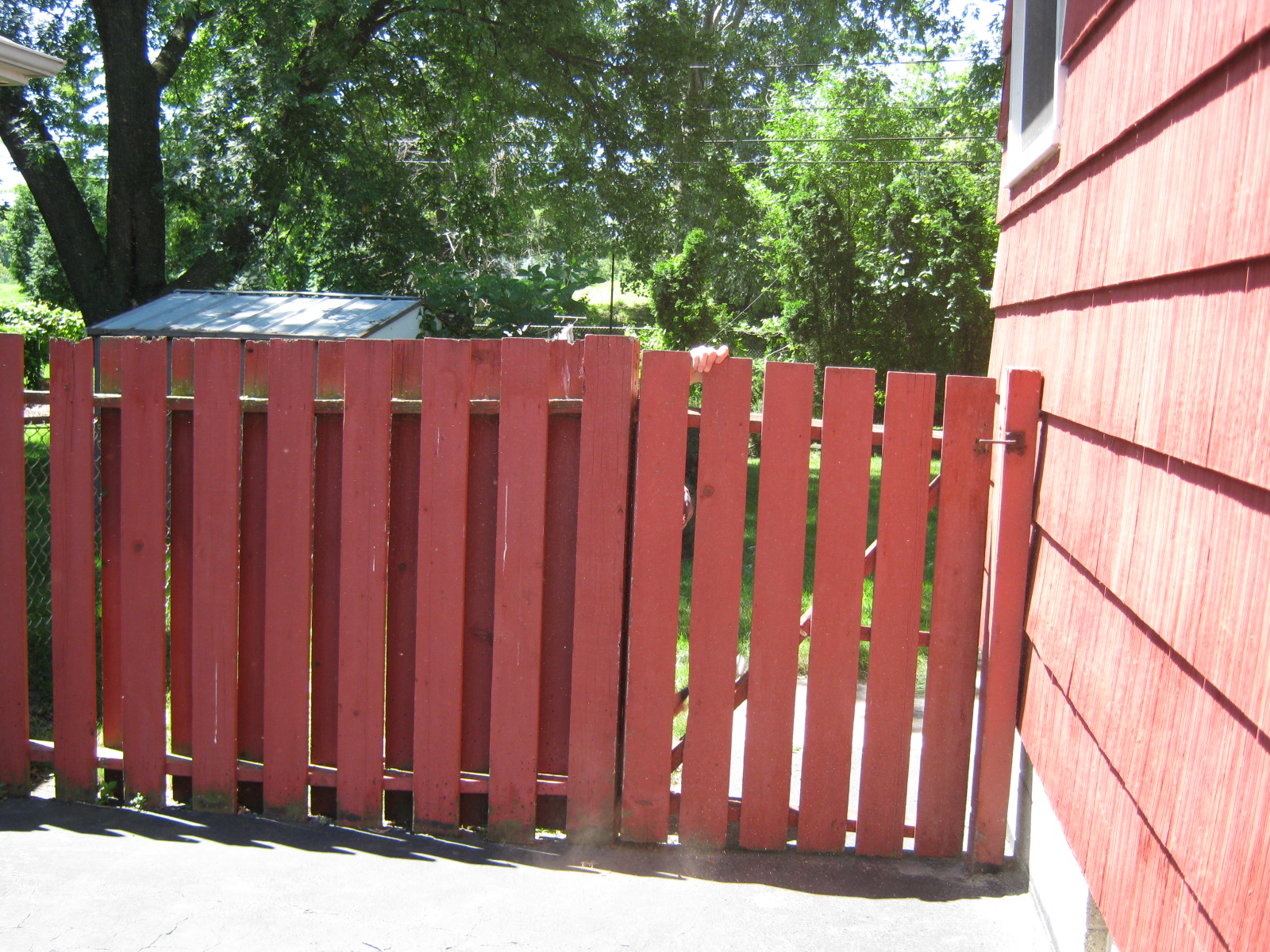 Terry's Chemo Chronicles Mending Fences