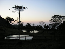 1ª ESCALAMINHADA DOS ESCOTEIROS AO PICO MEIA LUA