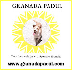 Spaanse hondjes op zoek naar een warm thuis: Granada Padul