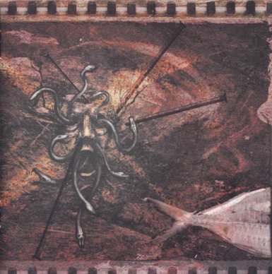 JULII RACING A TRAVÉS DEL MAR DE LOS SARGAZOS (2002)