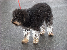 Dashing thru the snow