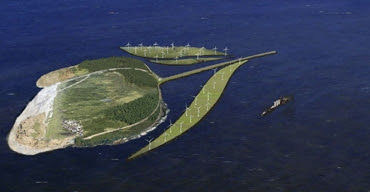 Tulip Island Tulip Island