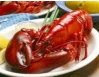 Lobster Lobster