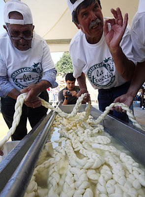 Interlaced mozzarella A 783.6-metre-long interlaced mozzarella