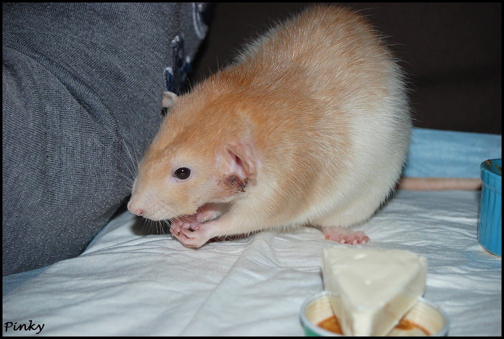 user posted image smaller