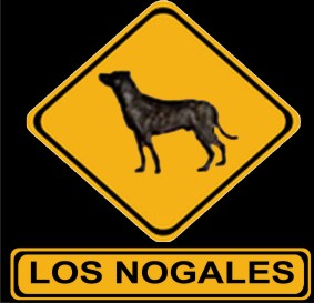 Cimarrones Los Nogales
