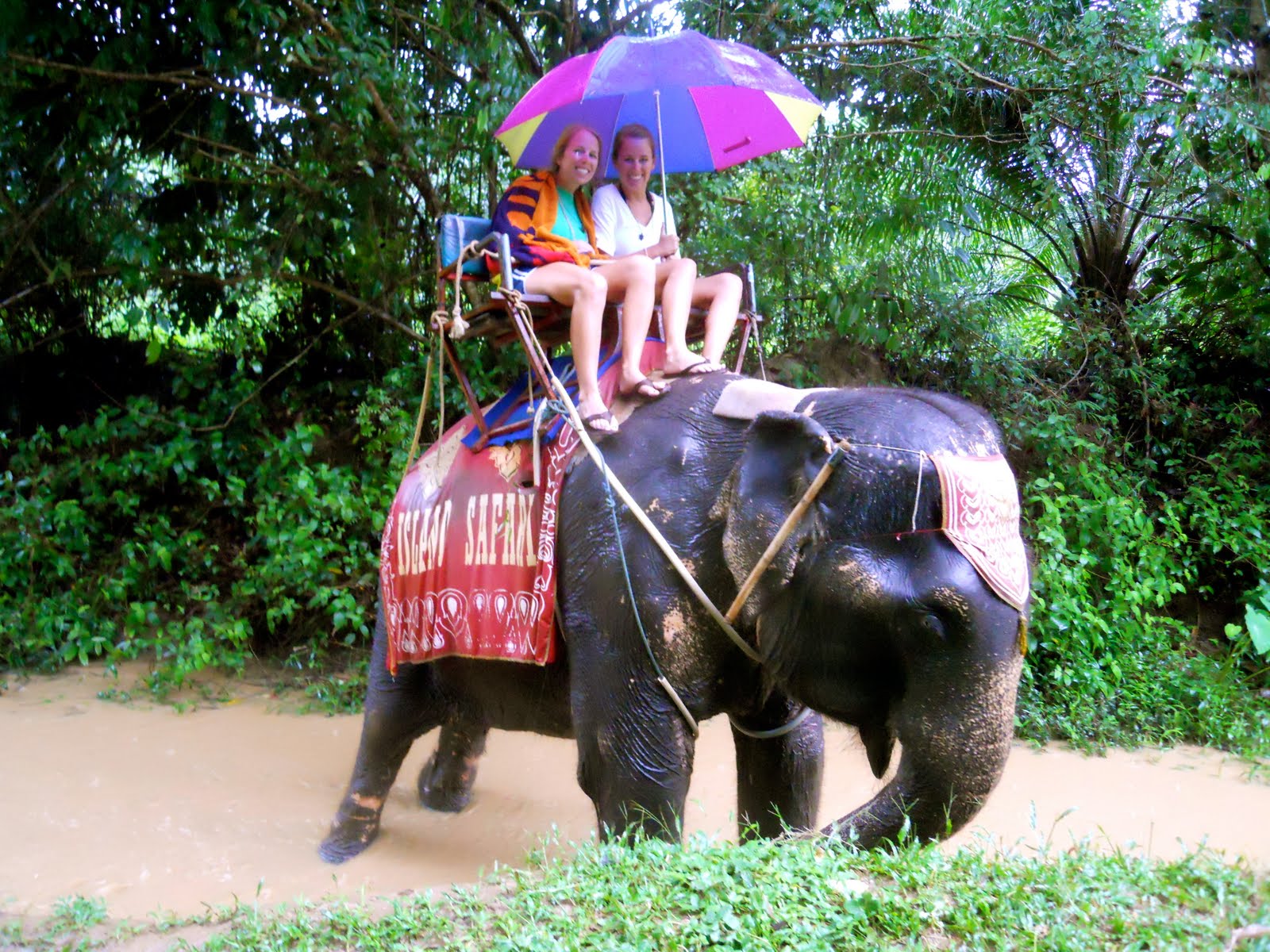 Summer in Thailand Phi Phi Islands, Rafting and Elephant Trekking