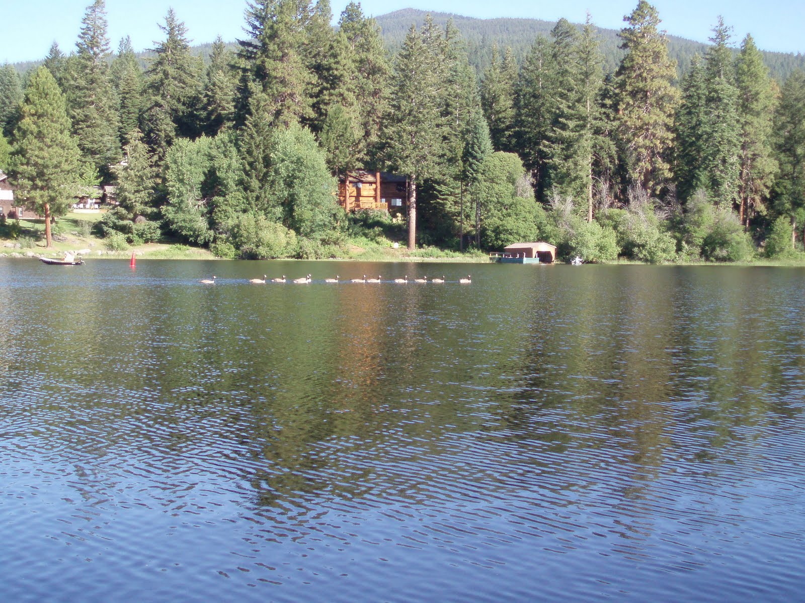 Point Comfort Lodge and Cabins