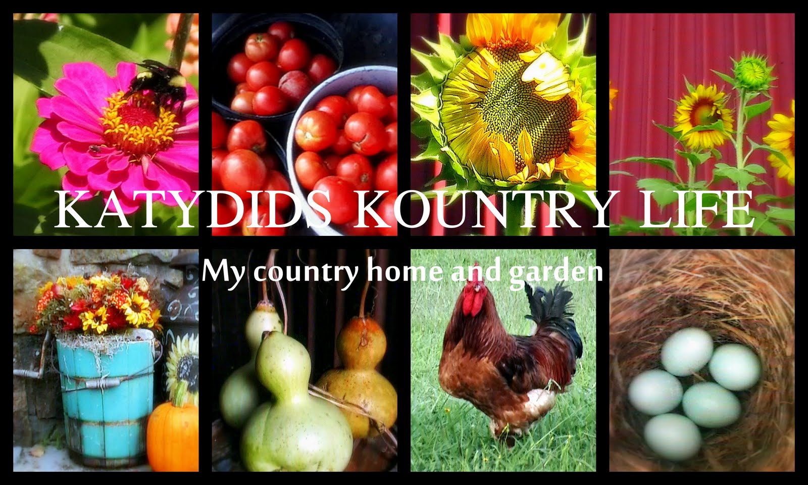 Katydids Kountry Life