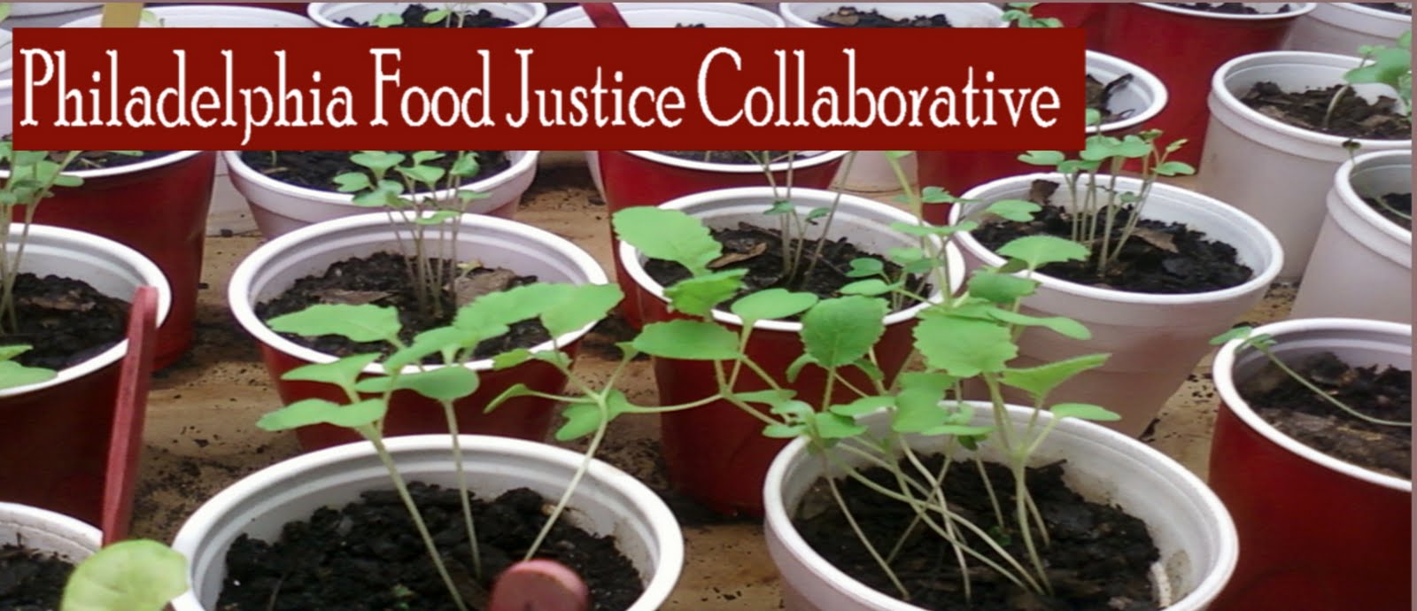 Philadelphia Food Justice Collaborative