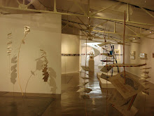 View of my installation at the Museum