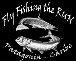 Fly Fishing The Run