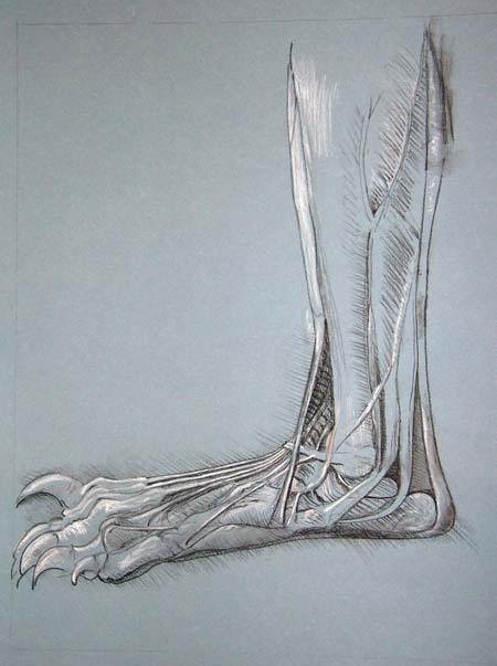[2007-07-13+daVinci+drawingcopy.jpg]