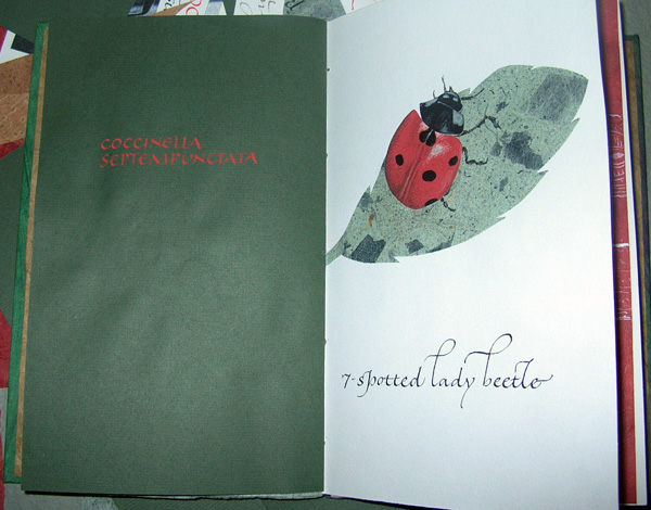 [2007-08-14+book-c.jpg]