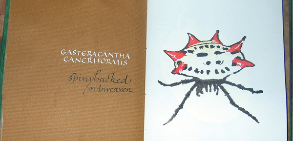 [2007-08-14+book-g.jpg]