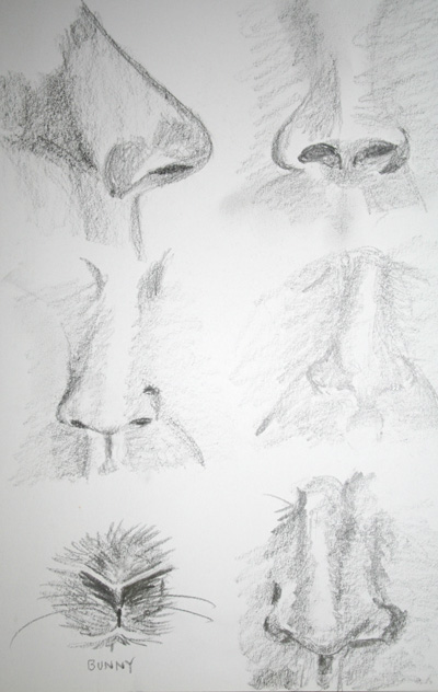 [05_29_noses_05.jpg]