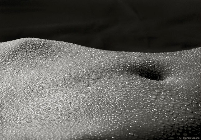 [image007.jpg]