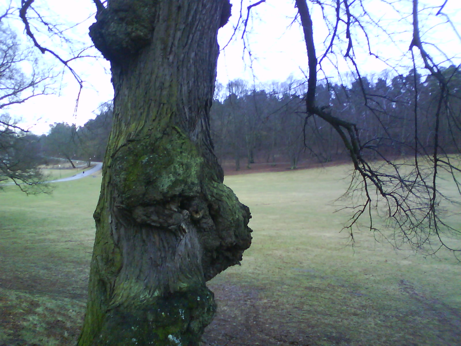 [DSC00080.JPG]
