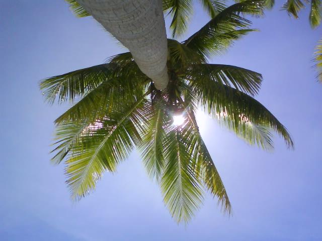 [DSC00226_2-791956.JPG]