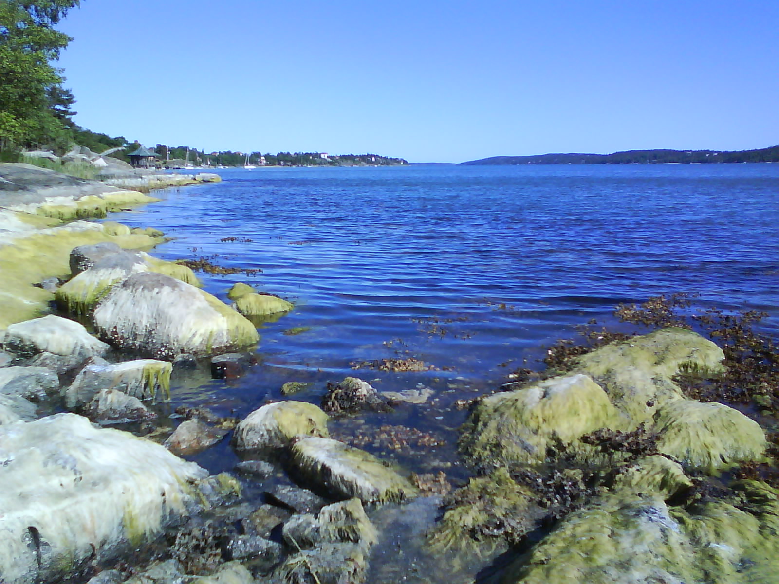 [DSC00338[1].JPG]