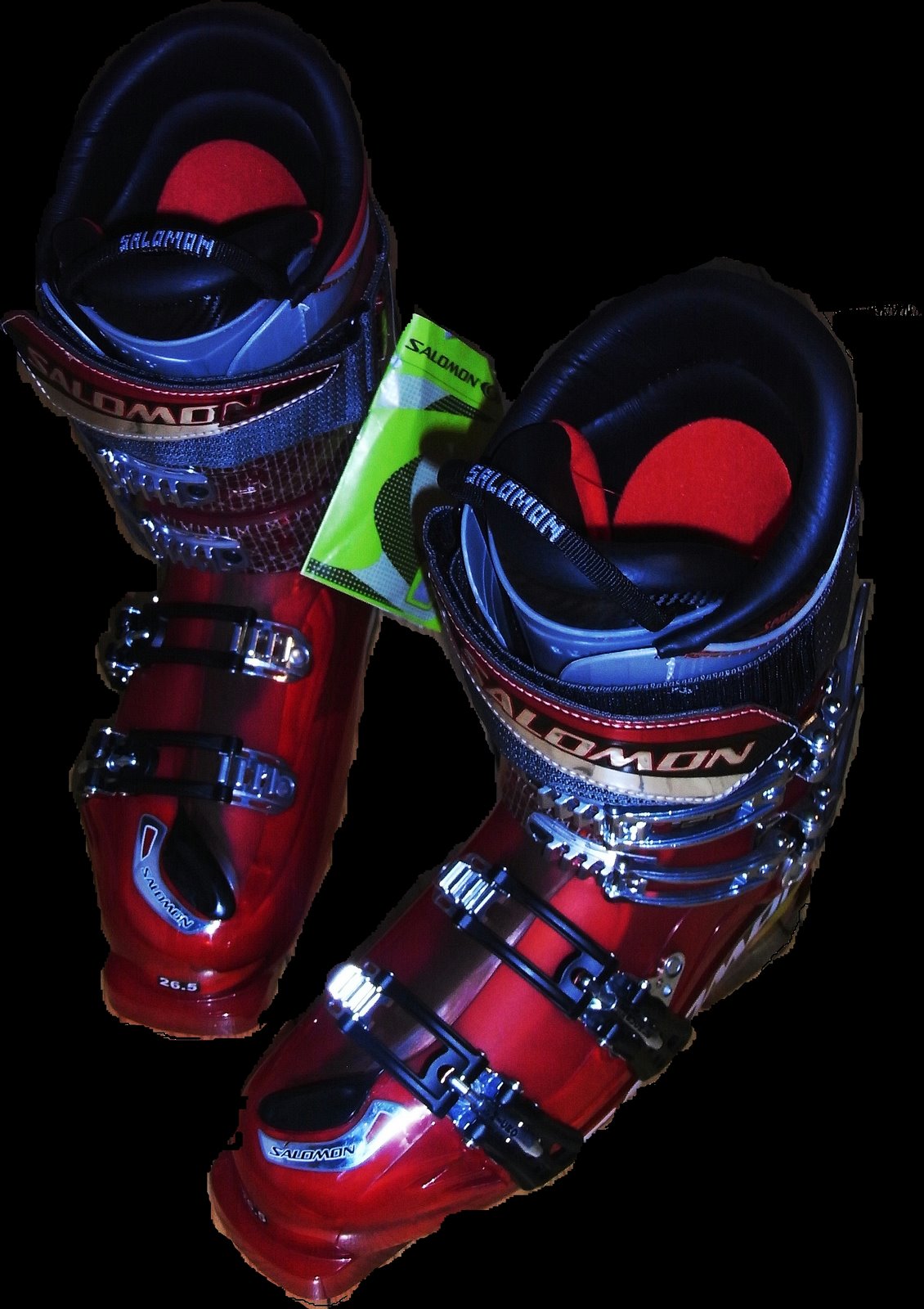 [skishoes.jpg]