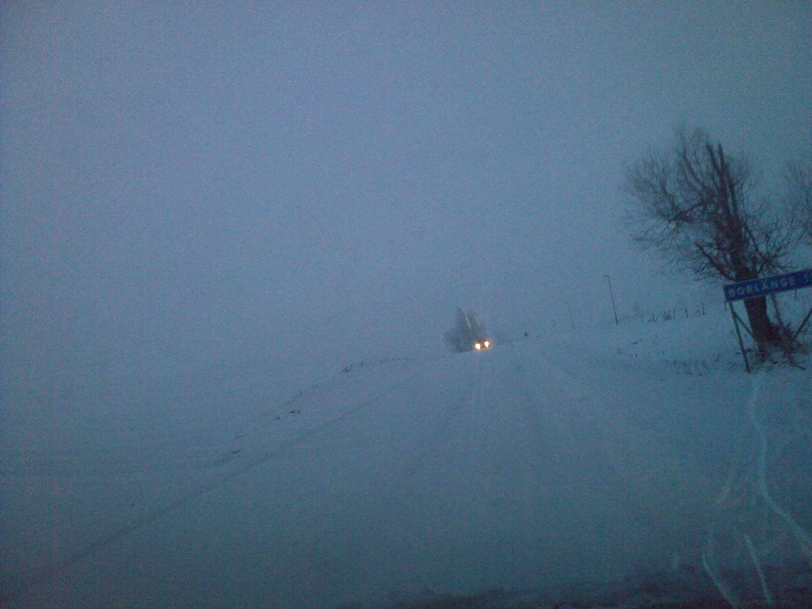 [20090124075-772230.jpg]