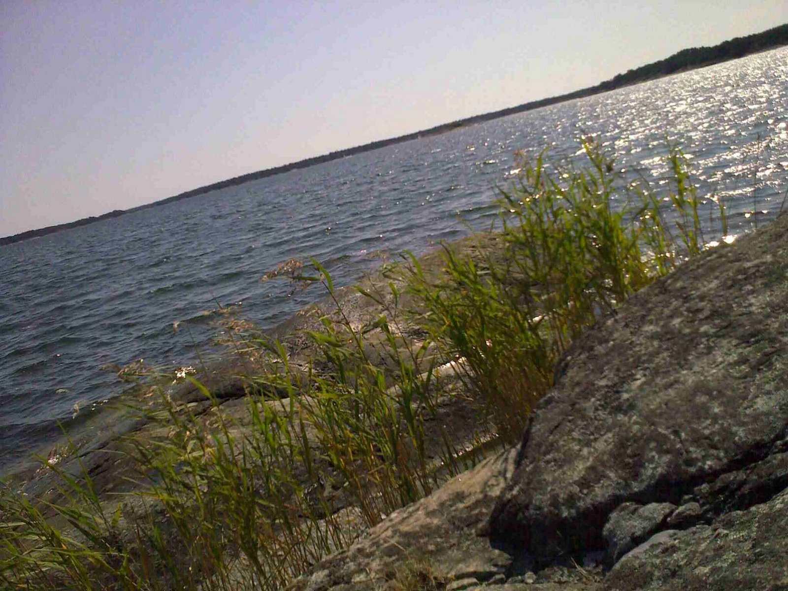[09082009434-797776.jpeg]