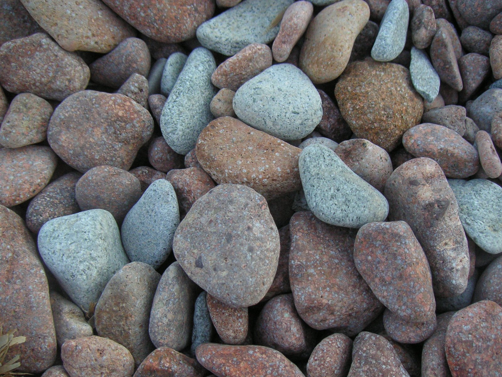 [pedras.JPG]