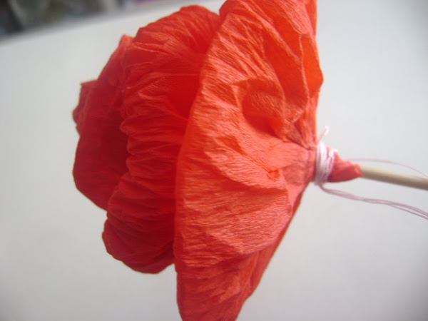 [DSC01682.JPG]