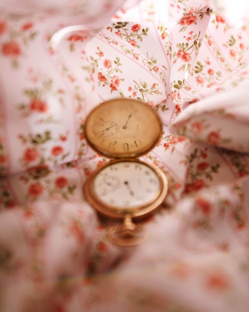 [tumblr_kxx1g4ht7v1qzrvo0o1_500.jpg]