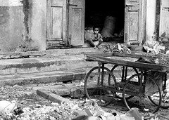 [264997857_800bce9407_m.jpg]