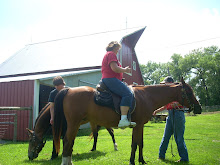 A day at the Farm