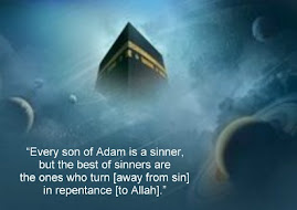 Allah's sanctuary is His prohibitions