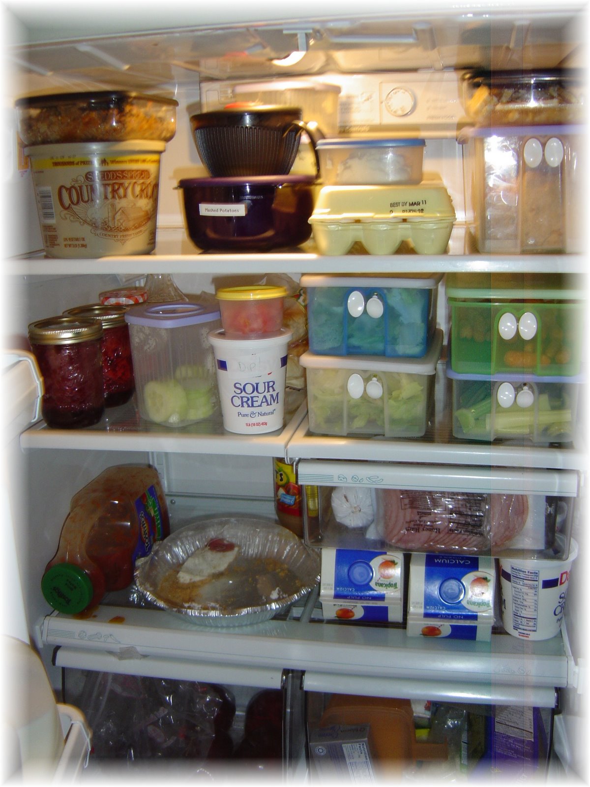 [fridge.JPG]