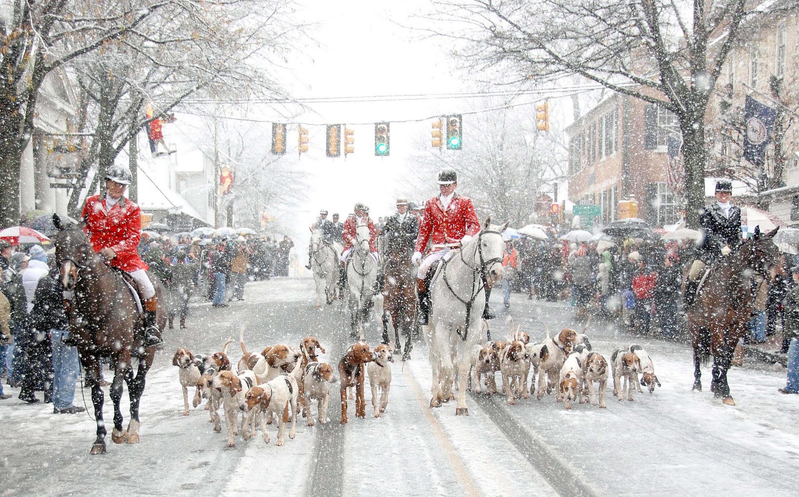 just us johnsons Middleburg Christmas Parade