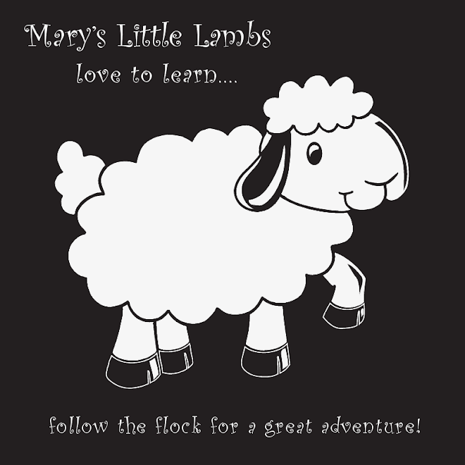 Mary's Little Lambs